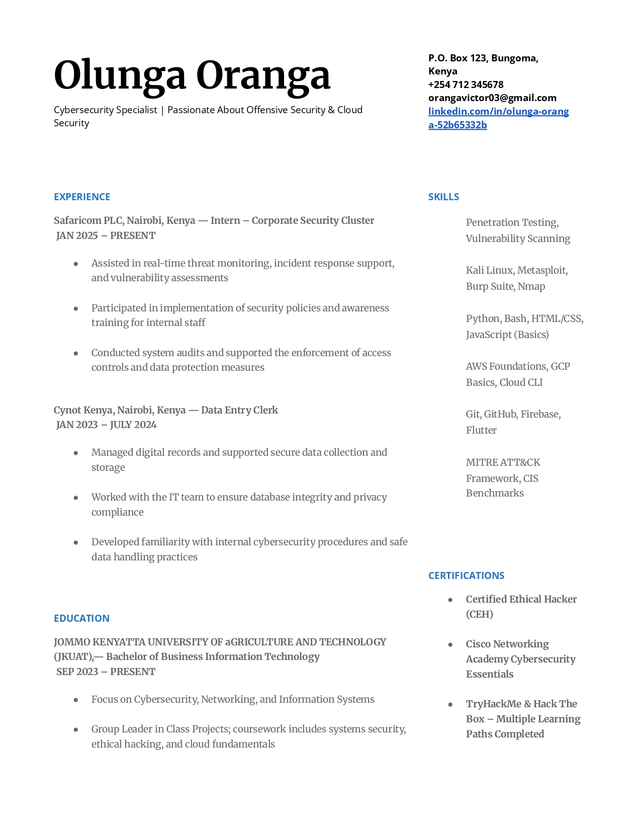 Resume Preview